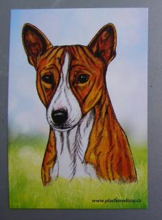 Magnetka - basenji