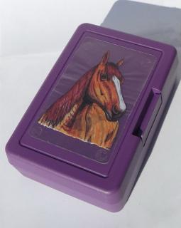 Plastový box - kůň Quarter horse (objem 0,9 l / 1,2 l)