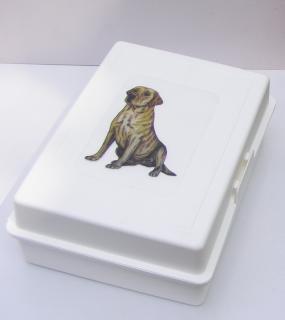 Plastový box velký s labradorem (objem 2,4 l)