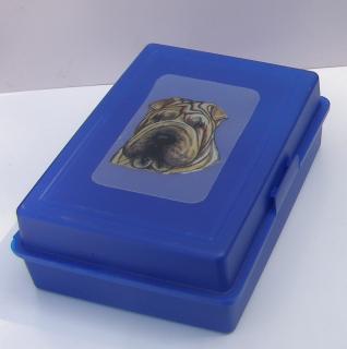 Plastový box velký se šarpejem (objem 2,4 l)