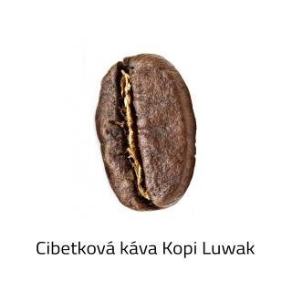 Čerstvě pražená Cibetková káva zrnková - Kopi Luwak 100g (Cibetková káva)