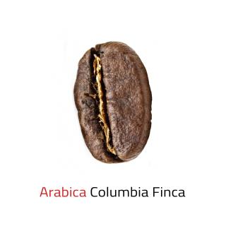Columbia Finca (Arabica columbia Villa Maria SuhSuh)