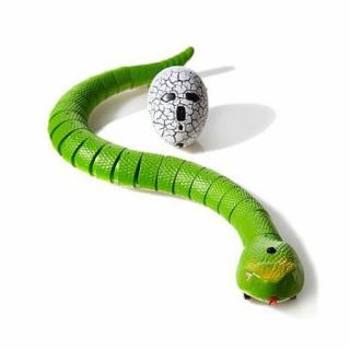 RC Had na dálkové ovládání Barva: Zelená