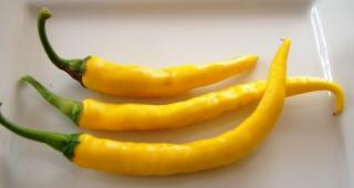 Semena chilli Cayenne Yellow 10ks