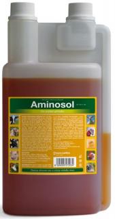 Aminosol 1000 ml