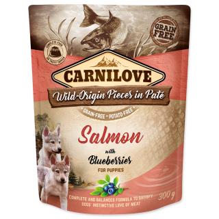 CARNILOVE Puppy Paté Salmon with Blueberries 300g