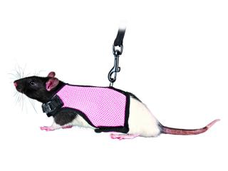 Trixie Postroj pro potkany 12-18cm