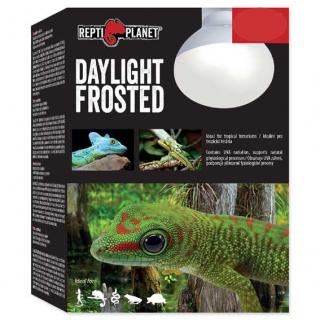 Žárovka REPTI PLANET Daylight Frosted 75 W