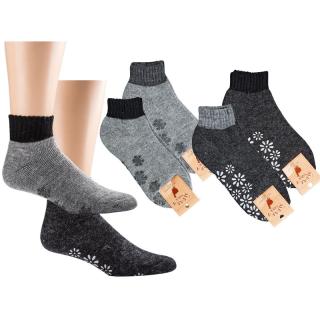 SOCKS 4 FUN 2193 domácí pánské ponožky ABS