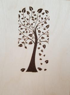 Překližka - cedulka březová 20x15