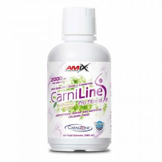AMIX CarniLine Pro Fitness 2000 mg, 480 ml