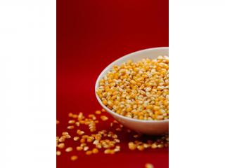Kukuřice - popcorn váha: 1 Kg
