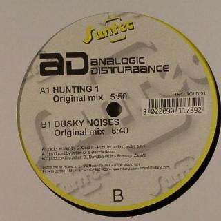 Analogic Disturbance ‎– Hunting 2 / Dusky Noises