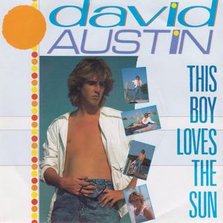David Austin ‎– This Boy Loves The Sun