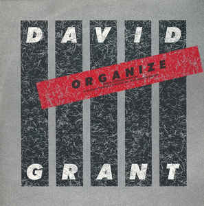 David Grant ‎– Organize