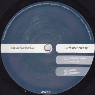David Roiseux ‎– Steady State