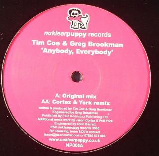 Tim Coe & Greg Brookman ‎– Anybody, Everybody