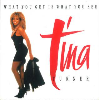 Tina Turner ‎– What You Get Is What You See