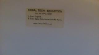 Tribal Tech ‎– Seduction