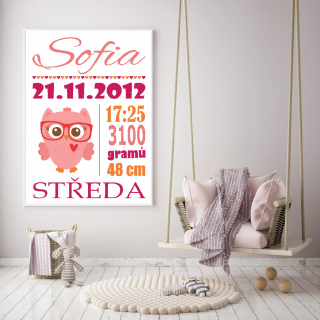Plakát - Dětský s údaji o narození - sovička holka S (A4 21x29,7cm) s rámečkem
