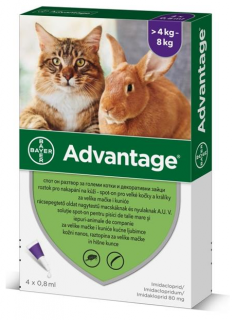 Advantage pro velké kočky a králíky 80mg 1x0,8ml