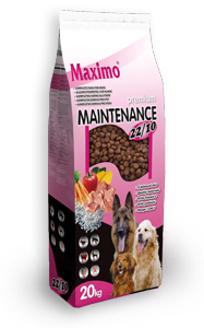 Maximo Maintenance 22/10 - 20kg