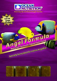 ON Angel Formula - mražené 100g - BLISTR