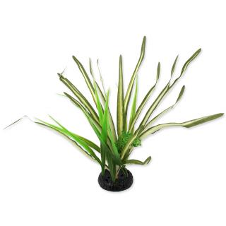 Rostlina REPTI PLANET travina Spartina 30 cm 1ks