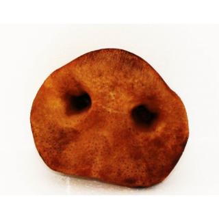 Vepřové rypáčky sušené PŘÍRODNÍ 0,5kg