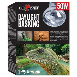 Žárovka REPTI PLANET Daylight Basking Spot 50W