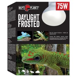 Žárovka REPTI PLANET Daylight Frosted 75W