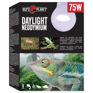 Žárovka REPTI PLANET Daylight Neodymium 75W