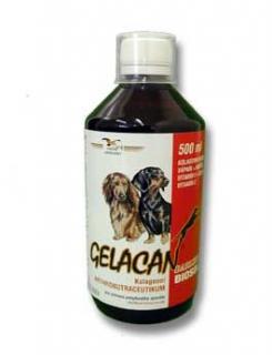 Orling Gelacan Darling BIOSOL 500ml