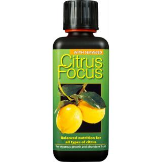 Growth Technology Citrus Focus 1l