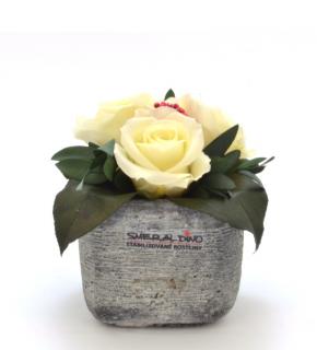 Ina DARK - aranžmá ze stabilizovaných rostlin (Aranžmá 3x stabilizovaná růže v betonové květináčku)