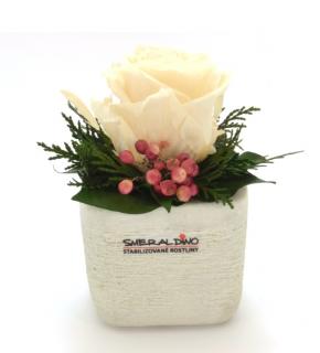 Sára LIGHT - aranžmá ze stabilizovaných rostlin (Aranžmá 1x stabilizovaná růže v betonovém květináčku)