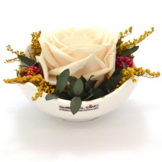 Tera - aranžmá ze stabilizovaných rostlin (Aranžmá 1x stabilizovaná růže v keramické misce)