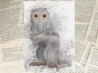 Art print: Demiguise/Polovid