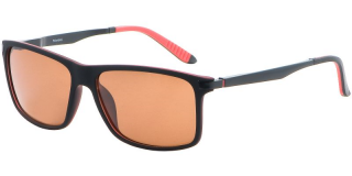 POINT - 298023 - C3 - BROWN POLARIZED