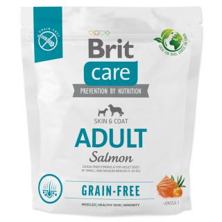 BRIT Care Dog Grain-free Adult 12kg