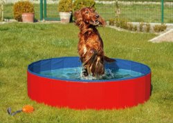 Karlie-Flamingo Skládací bazén pro psy modro/červený 120x30cm