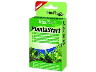 TETRA Plant Planta Start 12 tablet