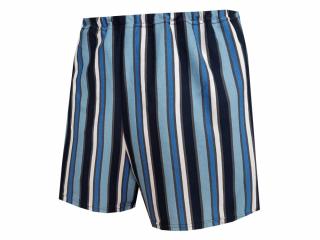 Klasické Pánské Trenýrky FOLTÝN UP 82 Materiál: Mako-úplet, Velikost: 10XL