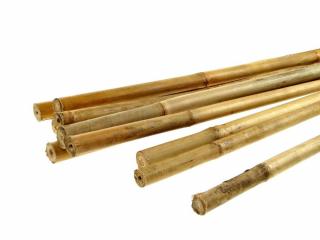 Bambusová tyčka 120cm 100ks (Vzhledem k rozměrům nelze zaslat přes Zásilkovnu! Bambusová tyčka výšky 120cm. Vhodné jako podpora pro rostlinu.)
