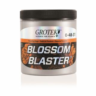 Grotek Blossom Blaster 130 g, květový stimulátor (Bloosom Blaster je vysoce koncentrovaný práškový květový stimulátor určený k maximalizaci úrody.)