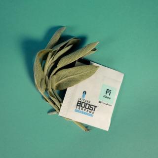 Integra Boost Terpene Essentials Pinen 4g, 62%, 1 ks (Integra Boost® Terpene Essentials Pinen. Hmotnost 4 g, vlhkost 62 %, balení 1 ks.)