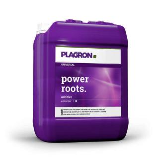 Plagron Power Roots 10L, kořenový stimulátor (Plagron Power Roots - organický kořenový stimulátor, zvyšuje obranyschopnost rostlin, lze použít do zálivky i ve formě postřiku na listy. Objem: 10L.)