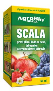 SCALA 50 ml (Scala - 50 ml)