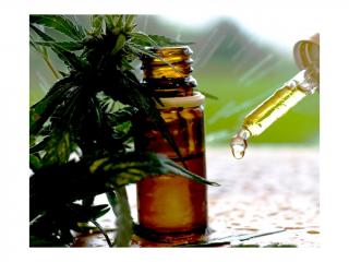 Esenciální olej Cannabis sativa L., 5 ml
