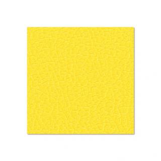 case na kytarový zesilovač - barevné provedení Barva: Žlutá
